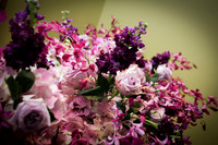Image-0037
