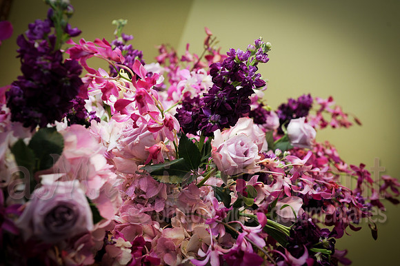 Image-0037
