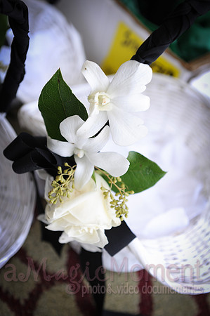 Image-0013