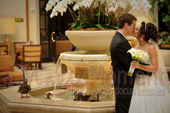 Wedding photography and video by A Magic Moment