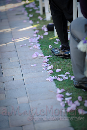 Image-0145