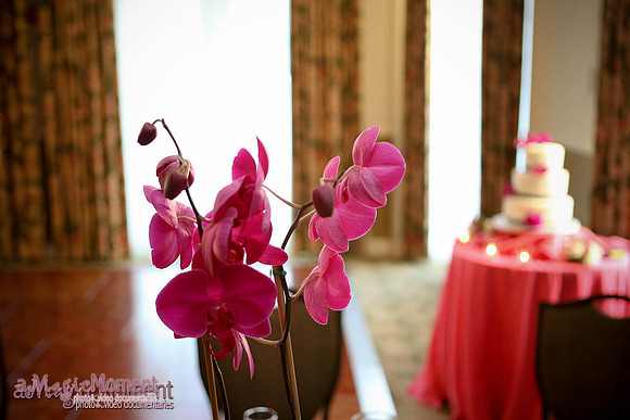 The Bohemian Celebration Hotel