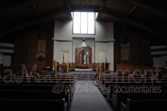 Image-0006