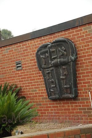 Image-0005