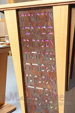 Image-0010