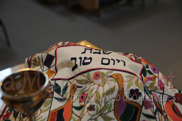 Image-0012