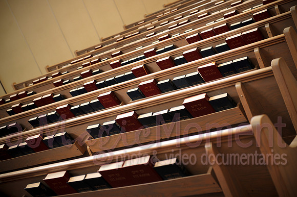 Image-0010