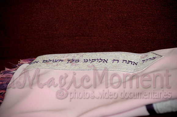 Image-0022