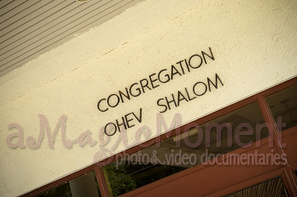 Image-0008