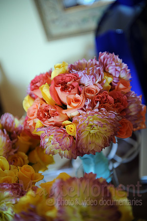 Image-0036