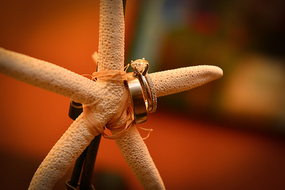 orlando photo | Amagicmoment |orlando photography