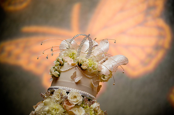 florida wedding photographer | A magic moment | orlando photography
