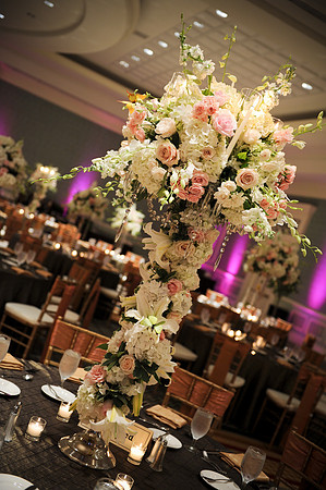 orlando photo | A magic moment |orlando photography