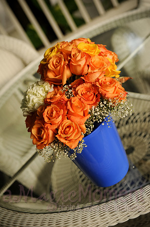 Image-0006