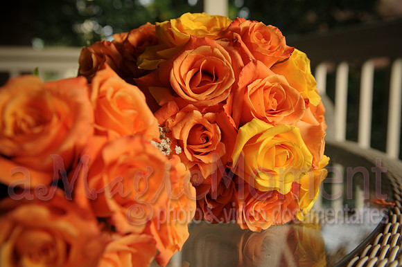 Image-0009