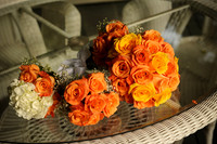 Image-0008