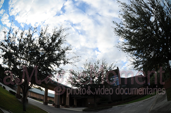 Image-0001