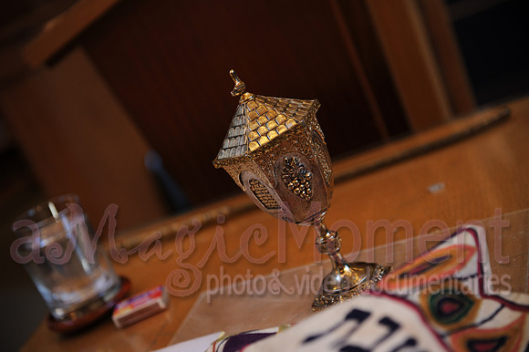 Image-0020