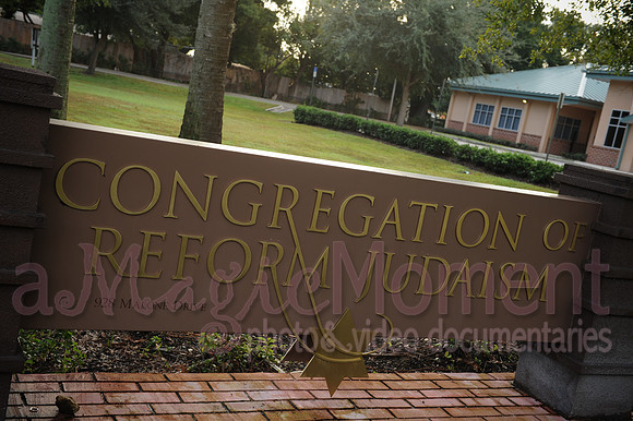 Image-0003