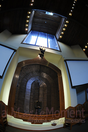 Image-0008