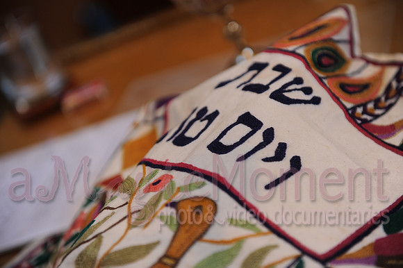 Image-0019