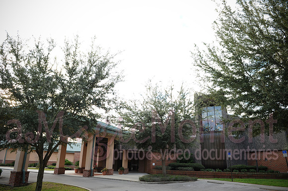Image-0011