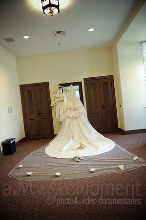 Image-0243