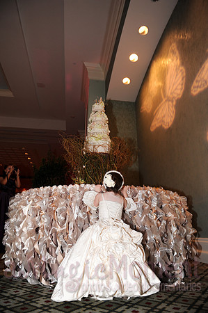 Image-1694