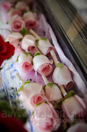 Image-0312