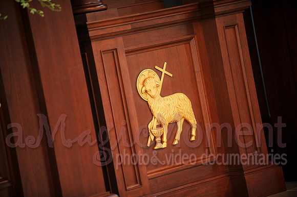 Image-0230
