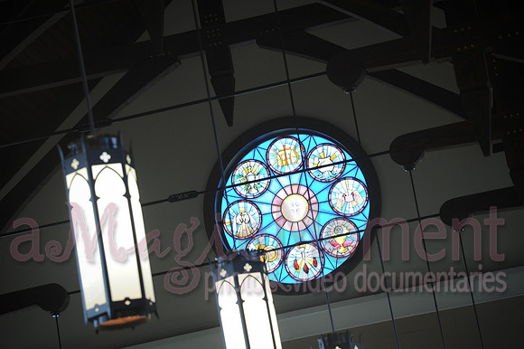Image-0229