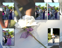 Pittman_06 copy