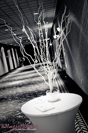 Image-0011