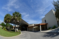 Image-0019