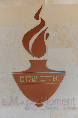 Image-0017