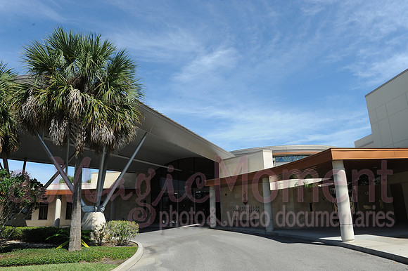 Image-0020