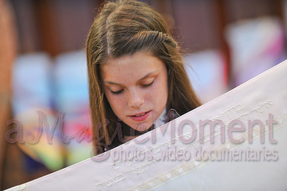 Image-0100