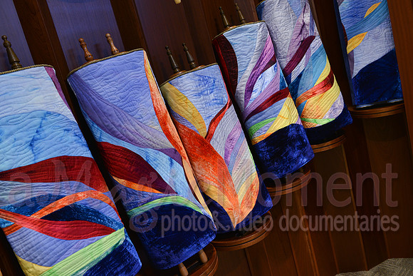 Image-0006