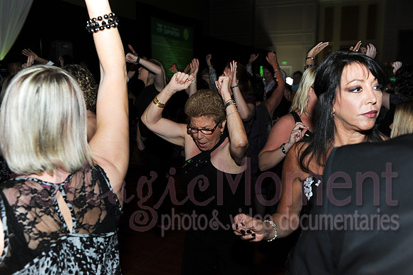 Image-0219