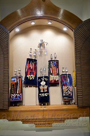Image-0009