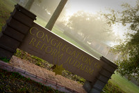 Image-0011