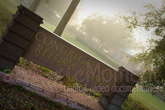 Image-0011