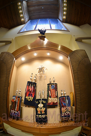 Image-0004