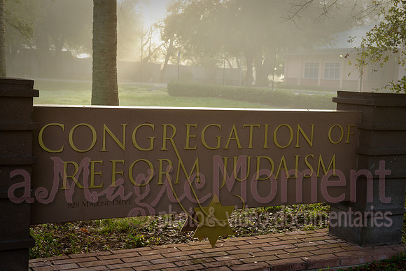 Image-0012