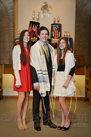 Image-0206