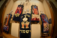 Image-0005