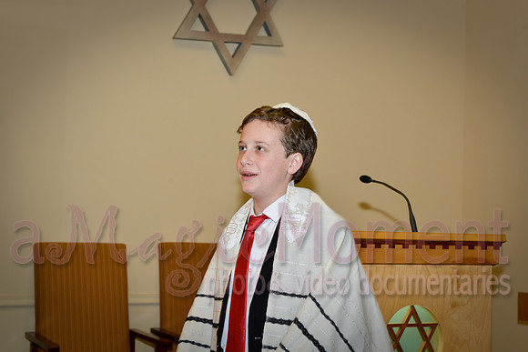 Image-0012