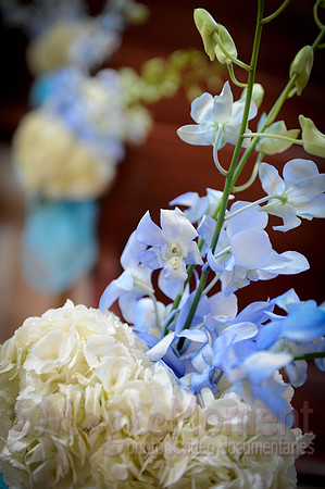 Image-0303