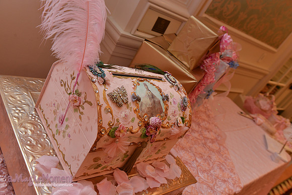 Image-0222