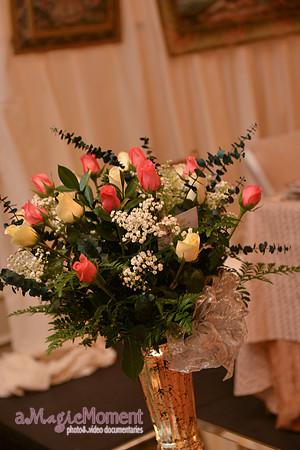 Image-0488